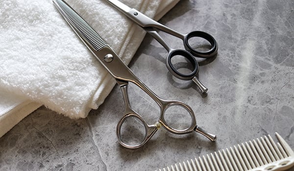 AdobeStock_426323146 AdobeStock_426323146